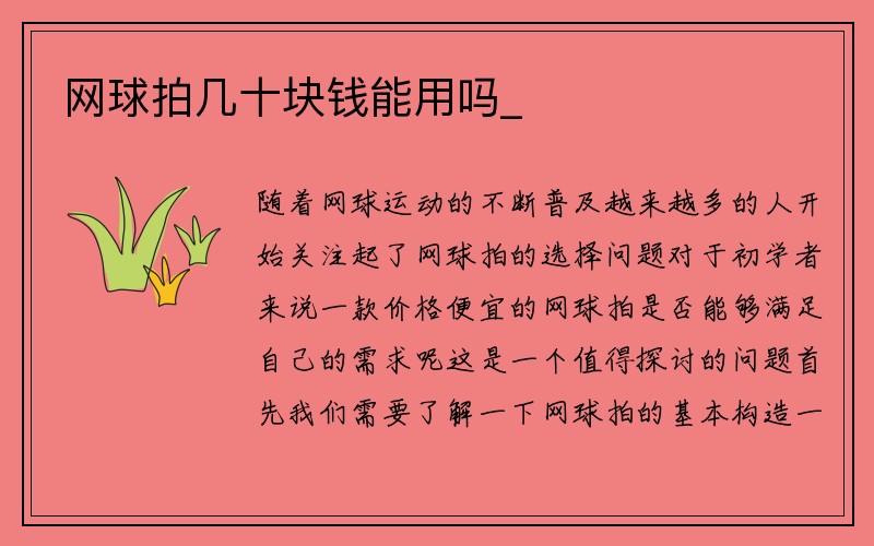 网球拍几十块钱能用吗_