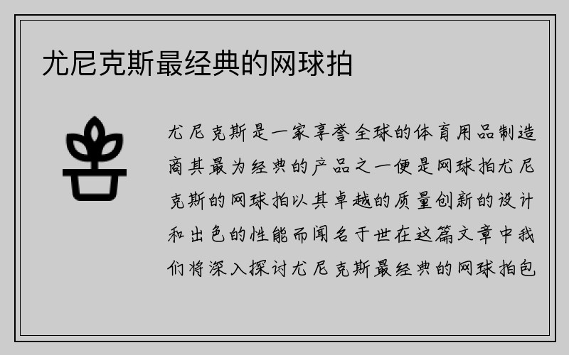 尤尼克斯最经典的网球拍