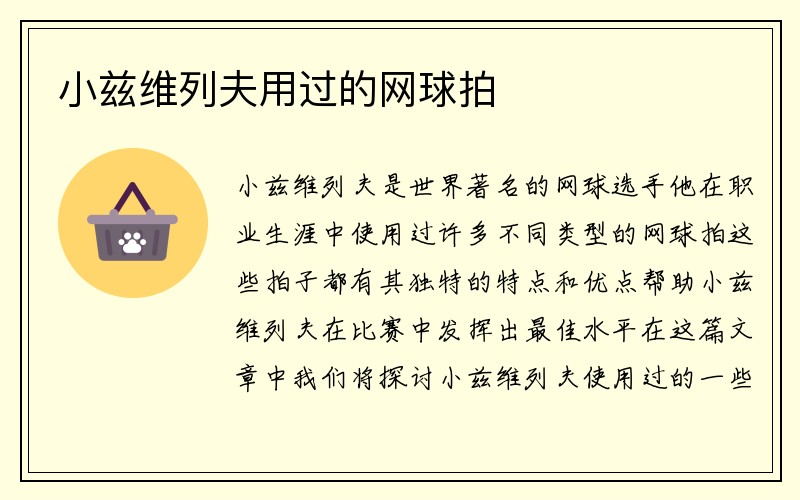 小兹维列夫用过的网球拍